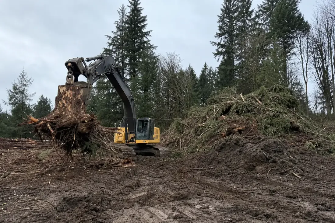 Excavator clearing trees and stumps on a wooded lot in Vancouver, WA